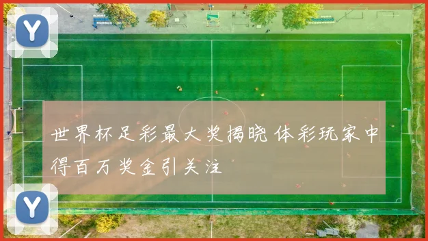 世界杯足彩最大奖揭晓 体彩玩家中得百万奖金引关注