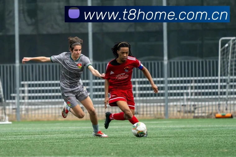 开yun体育app网页版登录入口品牌故事