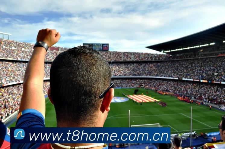 多媒体互动体验